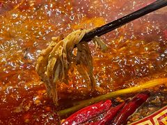 精品千层肚-重庆渝达老火锅(春熙路店)