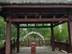 -习家池