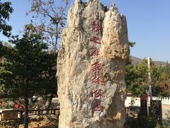 -静之湖湖畔餐厅