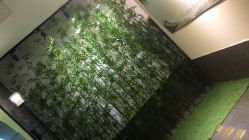 -盘子女人坊古装写真摄影(天津总店)