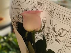 -FEI FEI FLOWER鲜花店·气球派对·宝宝宴布置(虹口德必运动Loft店)