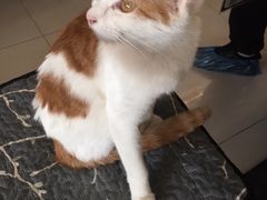 -平行世界·猫咖(首经贸店)