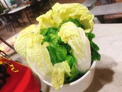 -墨脱石锅椰子鸡•香草鸭•东山羊(大东海店)