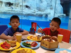 -帝企鹅自助餐厅•儿童岛•真企鹅(长隆企鹅酒店)