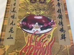 -九花山烤鸭店