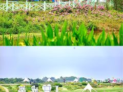 -空港花田景区