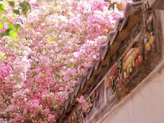 -深圳国际园林花卉博览园