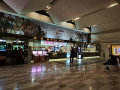 -嘉华国际影城(学清路店)