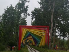 -合肥滨湖国家森林公园