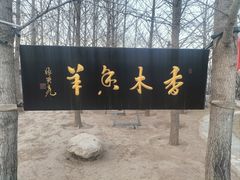 -香木香羊(小汤山店)