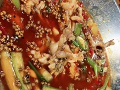 麻辣牛蛙-麻辣渔夫(赵辛店)