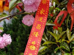 -孤山景区-孤山寺