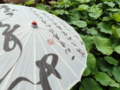 -花之城