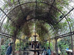 -The Grounds of Alexandria