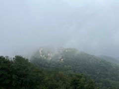 -鲁山国家森林公园