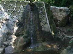 android_upload_pic-凤凰欢乐谷