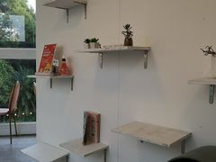 -有猫主题·治愈系猫咖(曾厝垵店)