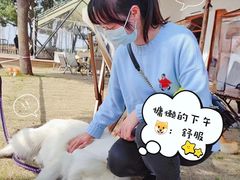 -阿林有机农庄