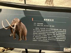 -呼伦贝尔民族博物馆