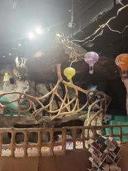 -探洞工场(丰科万达旗舰店)