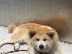 -YCHL Studios健身工作室(市二宫店)