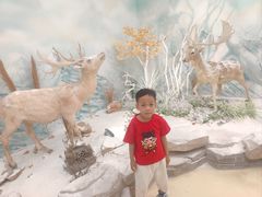 -西霞口神雕山野生动物世界