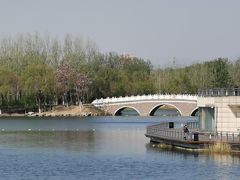 -大兴滨河森林公园