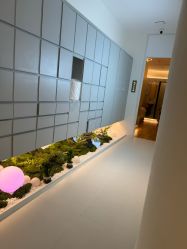 -苑苑vbeauty科技美容SPA