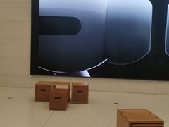-Apple零售店(苏州店)