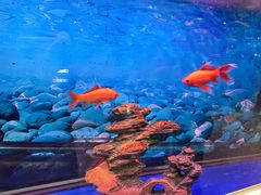 -翔龙茶文化酒店(汉中高铁站万邦旗舰店)