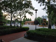 -大兴滨河森林公园