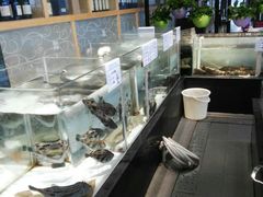 -悦港(悦港酒店)