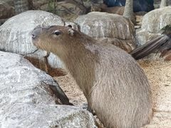 -海合安武汉极地海洋公园