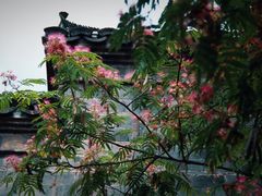 -老门东历史文化街区