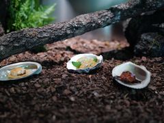 -曲廊院(东四十一条店)