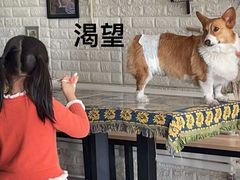 -平行世界·猫咖(首经贸店)