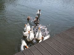 -杭州师范大学(下沙校区)