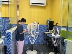 -瑞鹏宠物医院·内科·中兽医·骨科(苗圃店)