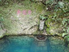 -十八棵（老龙井）御茶园(老龙井店)