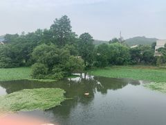 -东湖小天池真人CS彩弹野战基地