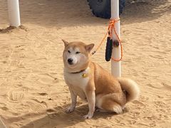 -达拉特旗响沙湾旅游区