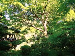 -三千院