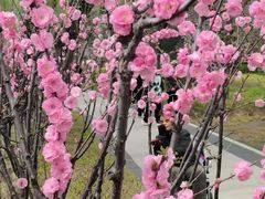 -迎泽公园