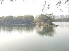 -洋湖国家湿地公园