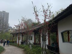 -重庆彩云湖湿地公园