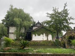 -鲁镇
