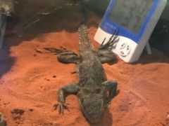 -北戴河圣蓝海洋公园