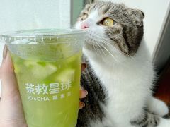 -茶救星球·蔬果茶(福田水围店)