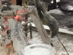 -九州酒场ひこぞう(2号店)
