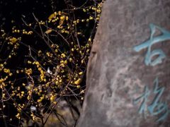 -无锡梅园公园